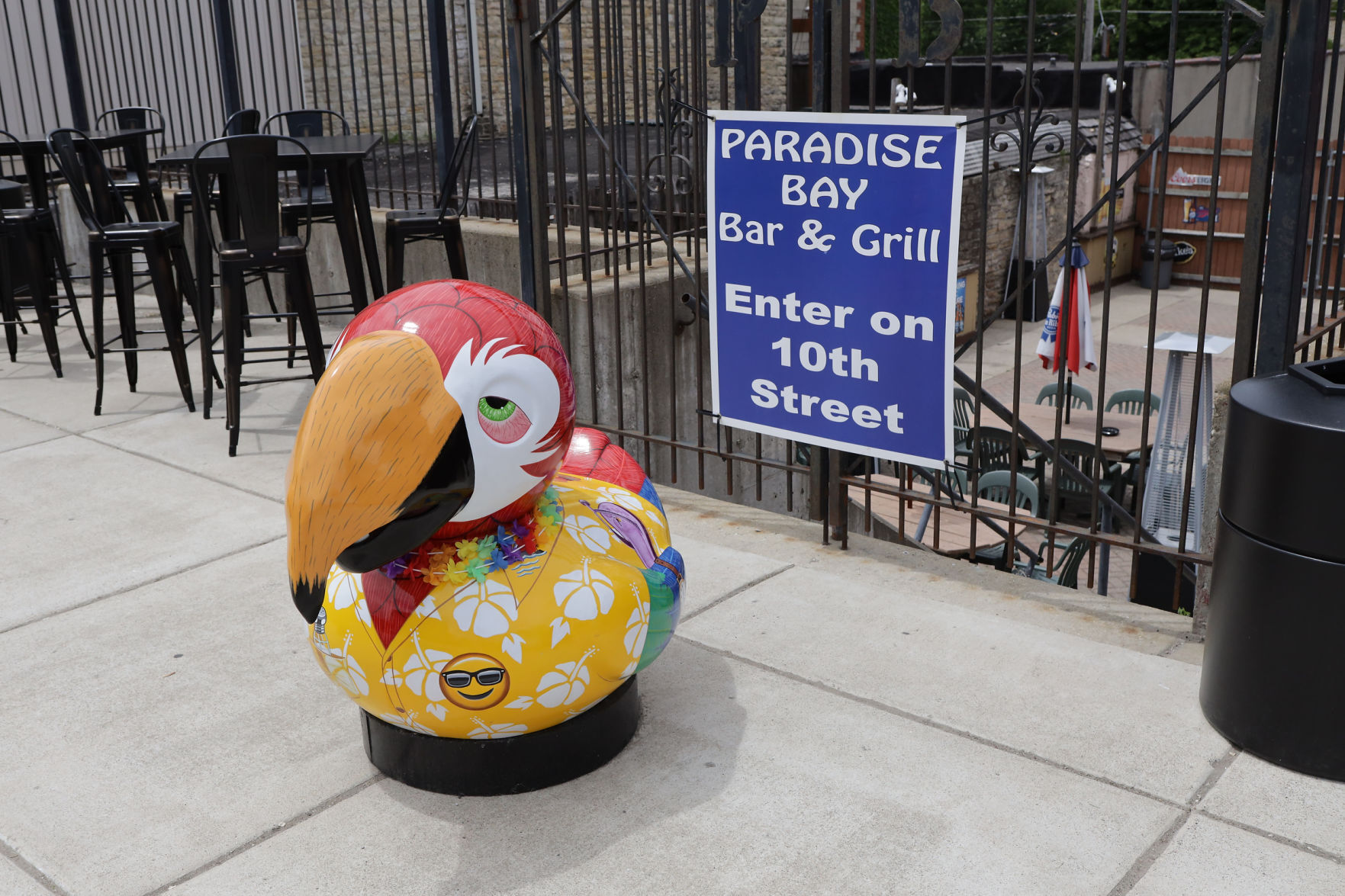Flock of artistic ducks land downtown to help small businesses fly again